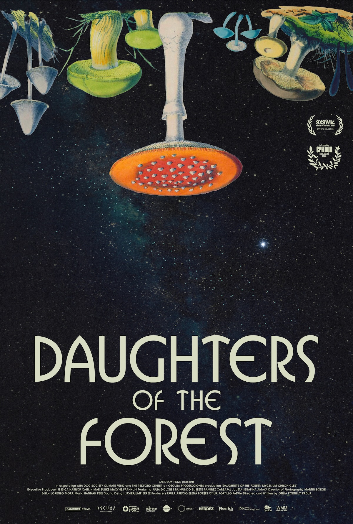 Poster for Daughters of the Forest: Surreal fungi, showerhead, and papaya in a starry sky.